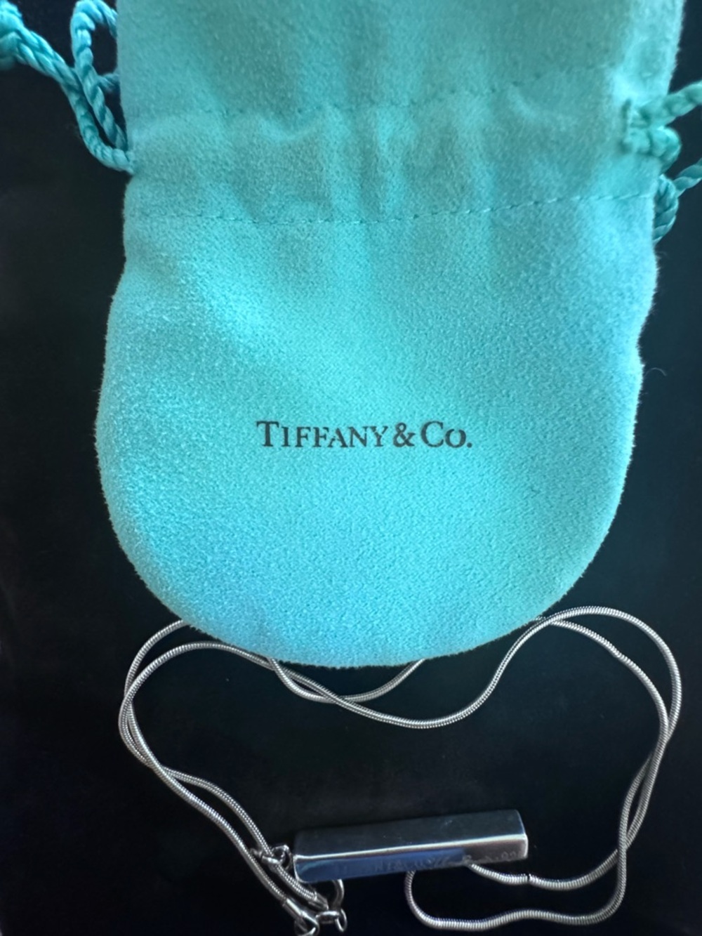 Tiffany & Co. Silver-Tone Chain Necklace on Black Velvet